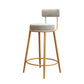 Glam Armless Backrest Counter Stool Iron Living Room Bar Stool with Velvet Cushion Clearhalo 'Bar Furniture' 'Bar Stools' 'bar_stools' 'furn' 'furn_bar_stools' 'Furniture' 'furniture_bar_stools' 'Kitchen & Dining Furniture' 4829797