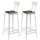 Contemporary Restaurant Iron Barstool Matte Finish Footrest Stool White 2 Piece Set Bar Stool(30"H) Clearhalo 'Bar Furniture' 'Bar Stools' 'bar_stools' 'furn' 'furn_bar_stools' 'Furniture' 'furniture_bar_stools' 'Kitchen & Dining Furniture' 4829877