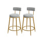 Glam Round Bar and Counter Stool Metal Low Back Stool with 4 Legs Gold Gray 2 Piece Set Clearhalo 'Bar Furniture' 'Bar Stools' 'bar_stools' 'furn' 'furn_bar_stools' 'Furniture' 'furniture_bar_stools' 'Kitchen & Dining Furniture' 4830108