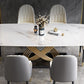 Nordic Glam Sintered Stone Dining Table Set 1/2/5/7 Pieces Dining Set for Home Clearhalo 'Dining Room Sets' 'Dining Tables & Seating' 'dining_room_set' 'furn' 'furn_dining_room_set' 'Furniture' 'furniture_dining_room_set' 'Kitchen & Dining Furniture' 4830778