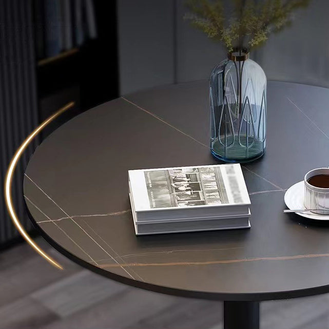 Stone Top Dining Table Round Dining Table with Pedestal Base in Gold Clearhalo 'Dining Tables & Seating' 'Dining Tables' 'dining_table' 'furn' 'furn_dining_table' 'Furniture' 'furniture_dining_table' 'Kitchen & Dining Furniture' 'kitchen' 'kitchen_dining_table' 4831037