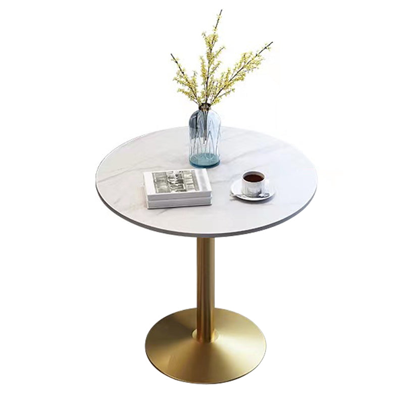 Stone Top Dining Table Round Dining Table with Pedestal Base in Gold White Without Chairs Clearhalo 'Dining Tables & Seating' 'Dining Tables' 'dining_table' 'furn' 'furn_dining_table' 'Furniture' 'furniture_dining_table' 'Kitchen & Dining Furniture' 'kitchen' 'kitchen_dining_table' 4831038