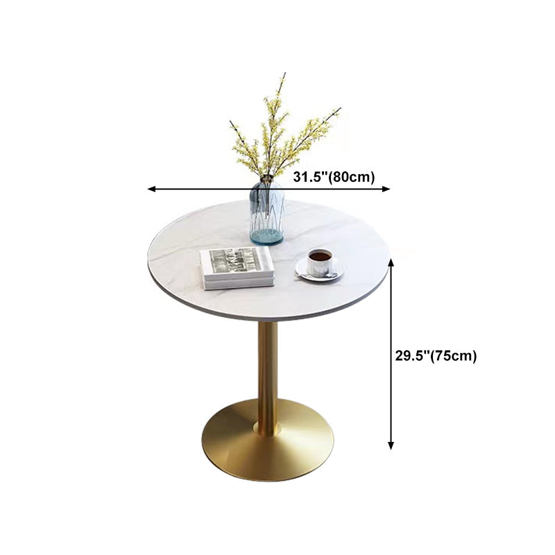 Stone Top Dining Table Round Dining Table with Pedestal Base in Gold Clearhalo 'Dining Tables & Seating' 'Dining Tables' 'dining_table' 'furn' 'furn_dining_table' 'Furniture' 'furniture_dining_table' 'Kitchen & Dining Furniture' 'kitchen' 'kitchen_dining_table' 4831044