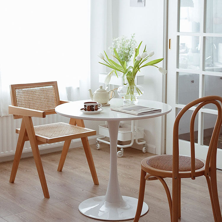 Modern Solid Wood Home Dining Arm Chair Open Back Dining Side Chair Clearhalo 'Dining Chairs' 'Dining Tables & Seating' 'dining_chair' 'furn' 'furn_dining_chair' 'Furniture' 'furniture_dining_chair' 'Kitchen & Dining Furniture' 4832313