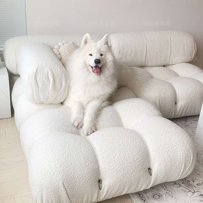 Contemporary Biscuit Back Sofa 26.38"High Velvet Couch for Living Room,White Clearhalo 'furn' 'furn_sofas' 'Furniture' 'furniture_sofas' 'kitchen' 'kitchen_sofas' 'Living Room Furniture' 'Sofa' 'sofas' 4836072