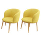 Modern Style Natural Iron Arm Chair Upholstered Side Chair for Dining Room Yellow 2 Piece Set Clearhalo 'Dining Chairs' 'Dining Tables & Seating' 'dining_chair' 'furn' 'furn_dining_chair' 'Furniture' 'furniture_dining_chair' 'Kitchen & Dining Furniture' 4839585