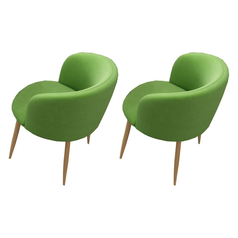 Modern Style Natural Iron Arm Chair Upholstered Side Chair for Dining Room Green 2 Piece Set Clearhalo 'Dining Chairs' 'Dining Tables & Seating' 'dining_chair' 'furn' 'furn_dining_chair' 'Furniture' 'furniture_dining_chair' 'Kitchen & Dining Furniture' 4839591