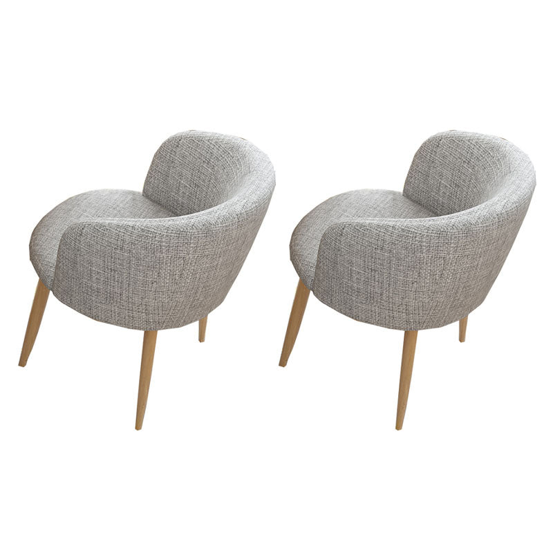 Modern Style Natural Iron Arm Chair Upholstered Side Chair for Dining Room Light Gray 2 Piece Set Clearhalo 'Dining Chairs' 'Dining Tables & Seating' 'dining_chair' 'furn' 'furn_dining_chair' 'Furniture' 'furniture_dining_chair' 'Kitchen & Dining Furniture' 4839609