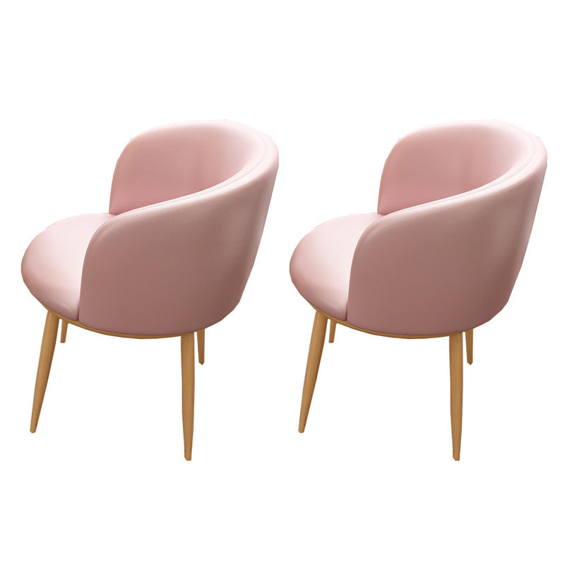 Modern Style Natural Iron Arm Chair Upholstered Side Chair for Dining Room Rose Bloom 2 Piece Set Clearhalo 'Dining Chairs' 'Dining Tables & Seating' 'dining_chair' 'furn' 'furn_dining_chair' 'Furniture' 'furniture_dining_chair' 'Kitchen & Dining Furniture' 4839633