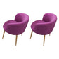 Modern Style Natural Iron Arm Chair Upholstered Side Chair for Dining Room Purple 2 Piece Set Clearhalo 'Dining Chairs' 'Dining Tables & Seating' 'dining_chair' 'furn' 'furn_dining_chair' 'Furniture' 'furniture_dining_chair' 'Kitchen & Dining Furniture' 4839642