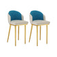 Nordic Design Upholstered Bar Stools for Home Armless Low Back Stools with Cushion Gray-Blue Gold 2 Piece Set Clearhalo 'Bar Furniture' 'Bar Stools' 'bar_stools' 'furn' 'furn_bar_stools' 'Furniture' 'furniture_bar_stools' 'Kitchen & Dining Furniture' 4850600