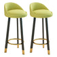 Low Back Footrest Upholstered Home Stool Glam 27-inch Matte Finish Barstool Green Black 2 Piece Set Clearhalo 'Bar Furniture' 'Bar Stools' 'bar_stools' 'furn' 'furn_bar_stools' 'Furniture' 'furniture_bar_stools' 'Kitchen & Dining Furniture' 4850716