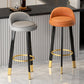 Metal Modern Kitchen Dining Room Armless Stool Low Back Bar Stool Clearhalo 'Bar Furniture' 'Bar Stools' 'bar_stools' 'furn' 'furn_bar_stools' 'Furniture' 'furniture_bar_stools' 'Kitchen & Dining Furniture' 4850794