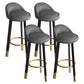 Metal Modern Kitchen Dining Room Armless Stool Low Back Bar Stool Dark Gray 4 Piece Set Clearhalo 'Bar Furniture' 'Bar Stools' 'bar_stools' 'furn' 'furn_bar_stools' 'Furniture' 'furniture_bar_stools' 'Kitchen & Dining Furniture' 4850801