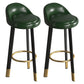 Metal Modern Kitchen Dining Room Armless Stool Low Back Bar Stool Green 2 Piece Set Clearhalo 'Bar Furniture' 'Bar Stools' 'bar_stools' 'furn' 'furn_bar_stools' 'Furniture' 'furniture_bar_stools' 'Kitchen & Dining Furniture' 4850816