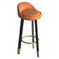 Metal Modern Kitchen Dining Room Armless Stool Low Back Bar Stool Orange 1 Piece Clearhalo 'Bar Furniture' 'Bar Stools' 'bar_stools' 'furn' 'furn_bar_stools' 'Furniture' 'furniture_bar_stools' 'Kitchen & Dining Furniture' 4850818