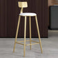 Glam Velvet Low Back Bar Stool Matte Finish Footrest Home Stool Clearhalo 'Bar Furniture' 'Bar Stools' 'bar_stools' 'furn' 'furn_bar_stools' 'Furniture' 'furniture_bar_stools' 'Kitchen & Dining Furniture' 4851113