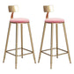 Glam Velvet Low Back Bar Stool Matte Finish Footrest Home Stool Pink 2 Piece Set Clearhalo 'Bar Furniture' 'Bar Stools' 'bar_stools' 'furn' 'furn_bar_stools' 'Furniture' 'furniture_bar_stools' 'Kitchen & Dining Furniture' 4851121
