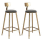 Glam Velvet Low Back Bar Stool Matte Finish Footrest Home Stool Gray 2 Piece Set Clearhalo 'Bar Furniture' 'Bar Stools' 'bar_stools' 'furn' 'furn_bar_stools' 'Furniture' 'furniture_bar_stools' 'Kitchen & Dining Furniture' 4851123