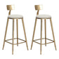 Glam Velvet Low Back Bar Stool Matte Finish Footrest Home Stool White 2 Piece Set Clearhalo 'Bar Furniture' 'Bar Stools' 'bar_stools' 'furn' 'furn_bar_stools' 'Furniture' 'furniture_bar_stools' 'Kitchen & Dining Furniture' 4851125