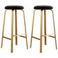 Footrest Upholstered Armless Bar Stool Matte Finish Backless Home Stool Matte Black 2 Piece Set Clearhalo 'Bar Furniture' 'Bar Stools' 'bar_stools' 'furn' 'furn_bar_stools' 'Furniture' 'furniture_bar_stools' 'Kitchen & Dining Furniture' 4851343