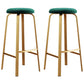 Footrest Upholstered Armless Bar Stool Matte Finish Backless Home Stool Green 2 Piece Set Clearhalo 'Bar Furniture' 'Bar Stools' 'bar_stools' 'furn' 'furn_bar_stools' 'Furniture' 'furniture_bar_stools' 'Kitchen & Dining Furniture' 4851365
