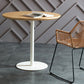 Wooden Top Dining Table Modern Round Dining Table with Metal Base Clearhalo 'Dining Tables & Seating' 'Dining Tables' 'dining_table' 'furn' 'furn_dining_table' 'Furniture' 'furniture_dining_table' 'Kitchen & Dining Furniture' 'kitchen' 'kitchen_dining_table' 4853506
