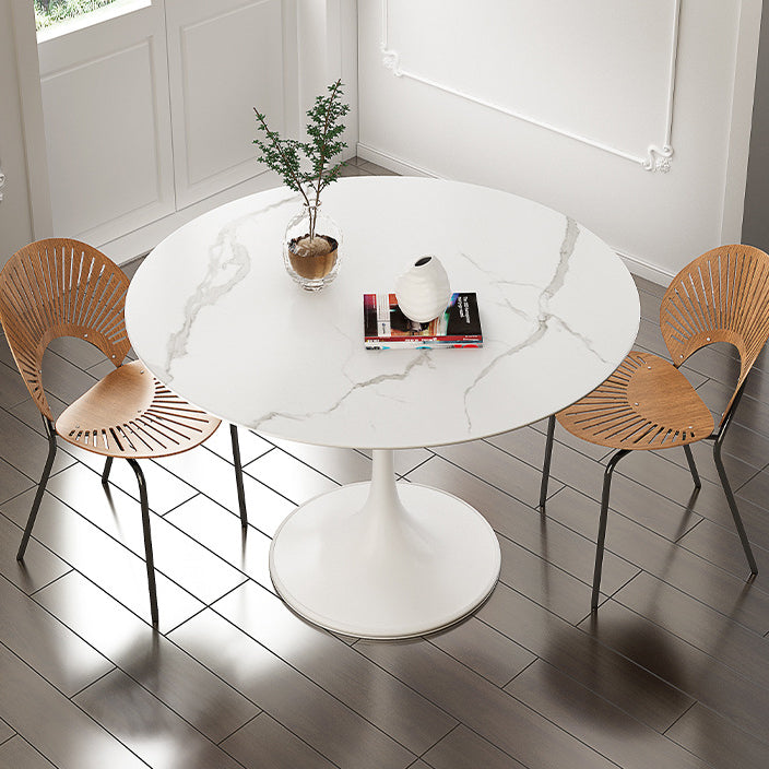 Stone Round Top Table Contemporary Dining Table with Pedestal Base White Without Chairs Clearhalo 'Dining Tables & Seating' 'Dining Tables' 'dining_table' 'furn' 'furn_dining_table' 'Furniture' 'furniture_dining_table' 'Kitchen & Dining Furniture' 'kitchen' 'kitchen_dining_table' 4853709