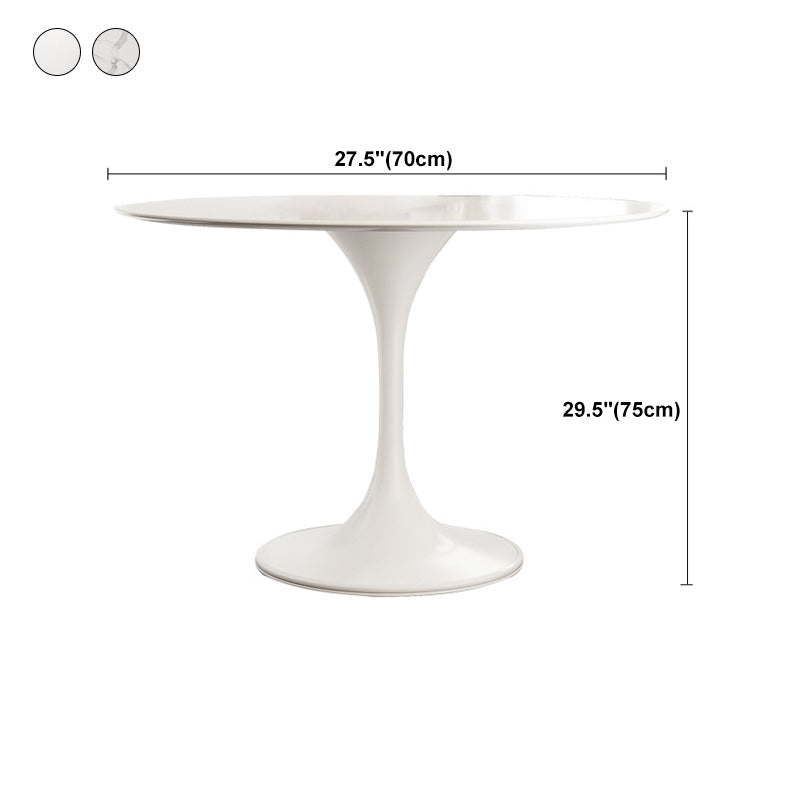 Stone Round Top Table Contemporary Dining Table with Pedestal Base Clearhalo 'Dining Tables & Seating' 'Dining Tables' 'dining_table' 'furn' 'furn_dining_table' 'Furniture' 'furniture_dining_table' 'Kitchen & Dining Furniture' 'kitchen' 'kitchen_dining_table' 4853715