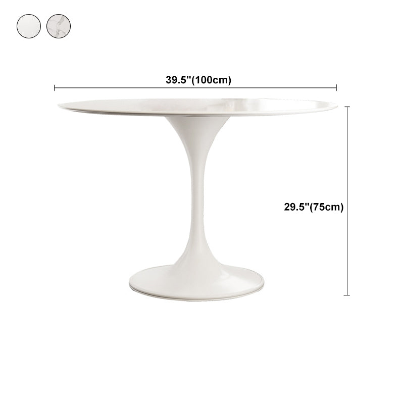 Stone Round Top Table Contemporary Dining Table with Pedestal Base Clearhalo 'Dining Tables & Seating' 'Dining Tables' 'dining_table' 'furn' 'furn_dining_table' 'Furniture' 'furniture_dining_table' 'Kitchen & Dining Furniture' 'kitchen' 'kitchen_dining_table' 4853718