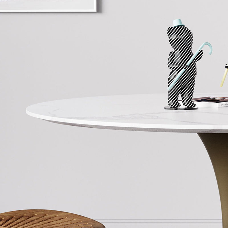 Simple Round Stone Top Dining Table Metal Base Dining Table for Living Room Clearhalo 'Dining Tables & Seating' 'Dining Tables' 'dining_table' 'furn' 'furn_dining_table' 'Furniture' 'furniture_dining_table' 'Kitchen & Dining Furniture' 'kitchen' 'kitchen_dining_table' 4854144