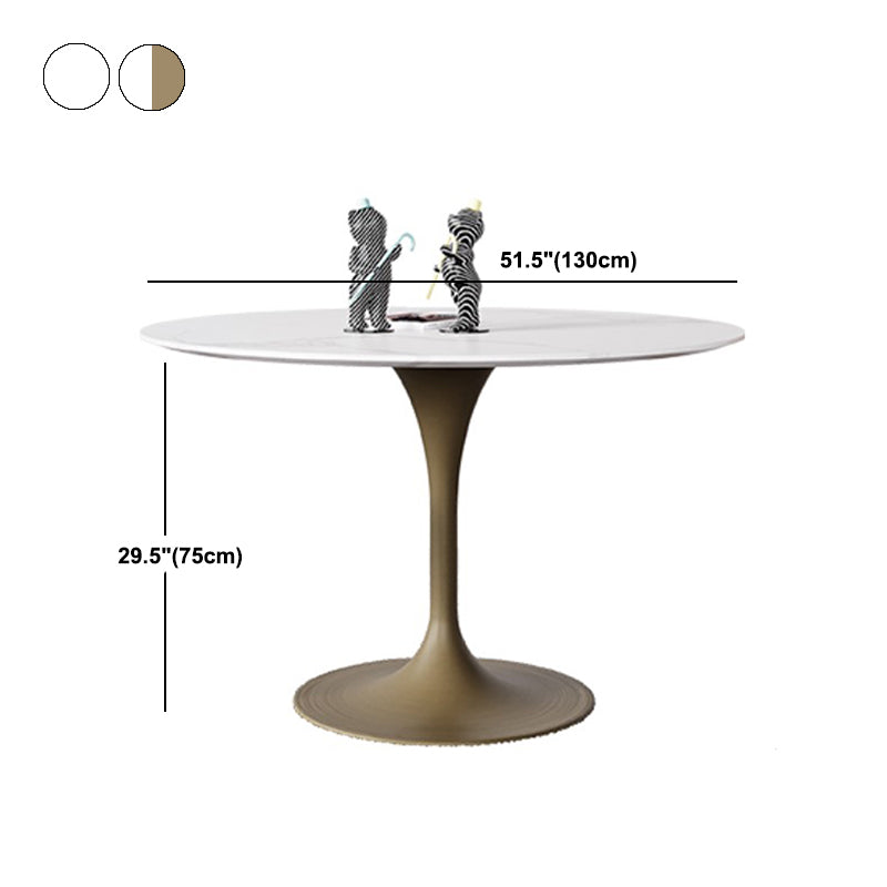 Simple Round Stone Top Dining Table Metal Base Dining Table for Living Room Clearhalo 'Dining Tables & Seating' 'Dining Tables' 'dining_table' 'furn' 'furn_dining_table' 'Furniture' 'furniture_dining_table' 'Kitchen & Dining Furniture' 'kitchen' 'kitchen_dining_table' 4854152