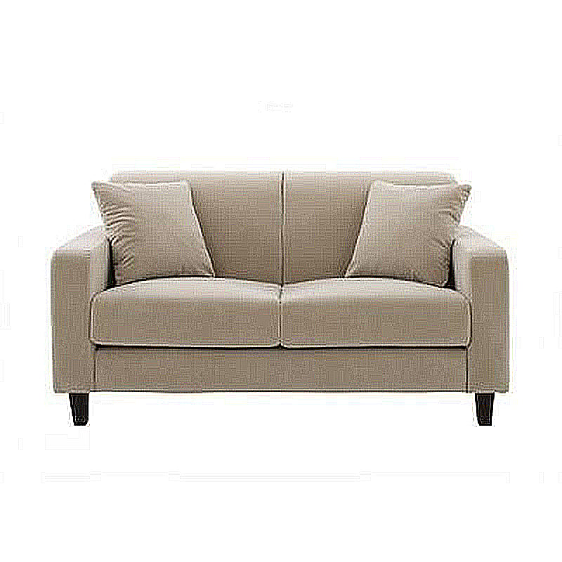 Contemporary 2-seat Sofa Square Arm Settee with Removable Cushions Light Gray Velvet Clearhalo 'furn' 'furn_sofas' 'Furniture' 'furniture_sofas' 'Living Room Furniture' 'Sofa' 'sofas' 4857824