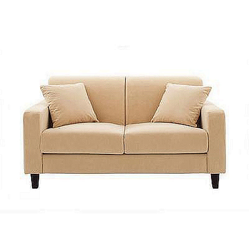 Contemporary 2-seat Sofa Square Arm Settee with Removable Cushions Beige Velvet Clearhalo 'furn' 'furn_sofas' 'Furniture' 'furniture_sofas' 'Living Room Furniture' 'Sofa' 'sofas' 4857843