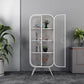 Scandinavian Vertical Standard Bookcase Iron Bookcase with Door Clearhalo 'Bookcases' 'furn' 'furn_bookcases' 'Furniture' 'furniture_bookcases' 'Office Furniture' 4859268