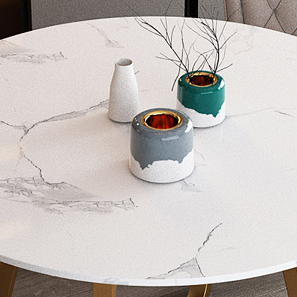 Glam 1/2/5 Pieces Dining Set Round Stone Dining Table for Dining Room Clearhalo 'Dining Room Sets' 'Dining Tables & Seating' 'dining_room_set' 'furn' 'furn_dining_room_set' 'Furniture' 'furniture_dining_room_set' 'Kitchen & Dining Furniture' 4862839