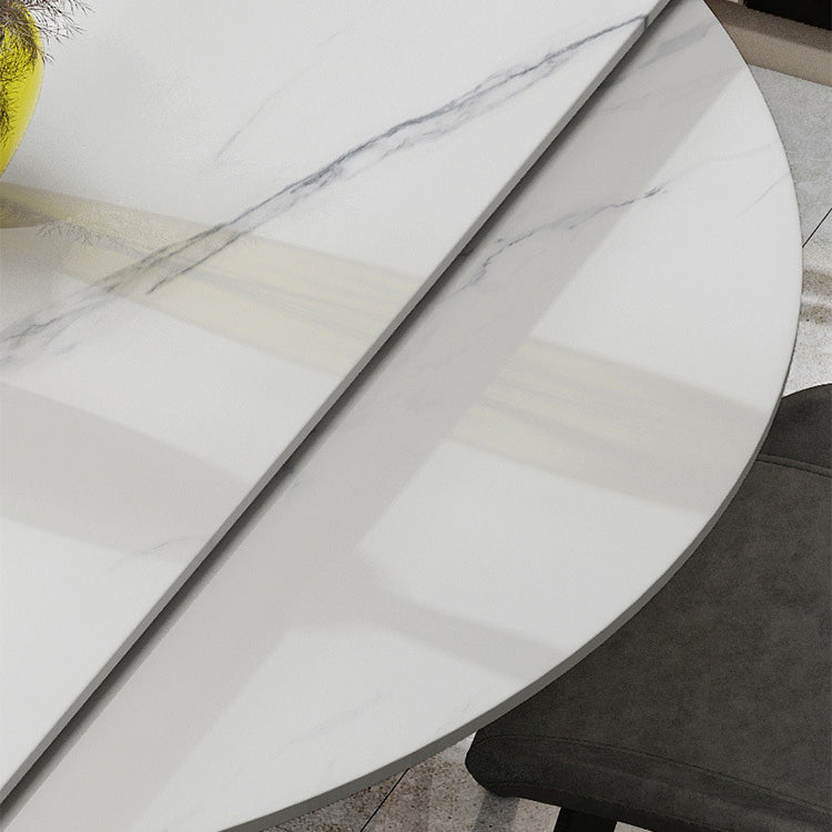 Modern 1/4/5/6/7 Pieces Dining Room Set Sintered Stone Dining Table Clearhalo 'Dining Room Sets' 'Dining Tables & Seating' 'dining_room_set' 'furn' 'furn_dining_room_set' 'Furniture' 'furniture_dining_room_set' 'Kitchen & Dining Furniture' 4863150