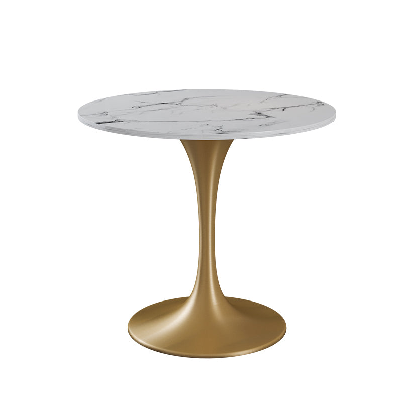 Glam 1/4/5 Pieces Dining Set Sintered Stone Dining Table Set for Dining Areas White 31"L x 31"W Clearhalo 'Dining Room Sets' 'Dining Tables & Seating' 'dining_room_set' 'furn' 'furn_dining_room_set' 'Furniture' 'furniture_dining_room_set' 'Kitchen & Dining Furniture' 4863165