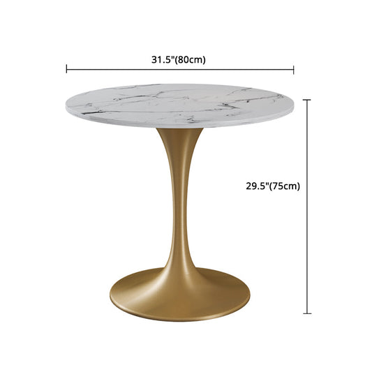 Glam 1/4/5 Pieces Dining Set Sintered Stone Dining Table Set for Dining Areas Clearhalo 'Dining Room Sets' 'Dining Tables & Seating' 'dining_room_set' 'furn' 'furn_dining_room_set' 'Furniture' 'furniture_dining_room_set' 'Kitchen & Dining Furniture' 4863174