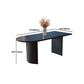 Free Form Double Pedestal Modern Dining Table Black Fixed Table of Wood Clearhalo 'Dining Tables & Seating' 'Dining Tables' 'dining_table' 'furn' 'furn_dining_table' 'Furniture' 'furniture_dining_table' 'Kitchen & Dining Furniture' 'kitchen' 'kitchen_dining_table' 4863526