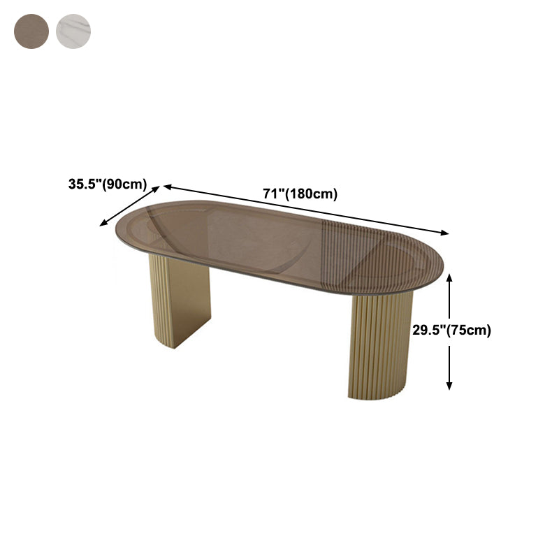 Oval Double Pedestal Modern Dining Table Fixed Table for Dining Room Clearhalo 'Dining Tables & Seating' 'Dining Tables' 'dining_table' 'furn' 'furn_dining_table' 'Furniture' 'furniture_dining_table' 'Kitchen & Dining Furniture' 'kitchen' 'kitchen_dining_table' 4863586