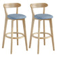 Scandinavian Matte Finish Upholstered Bar Stools Living Room Footrest Stool Sky Blue 2 Piece Set Clearhalo 'Bar Furniture' 'Bar Stools' 'bar_stools' 'furn' 'furn_bar_stools' 'Furniture' 'furniture_bar_stools' 'Kitchen & Dining Furniture' 4875453