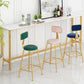Glam Low Back Living Room Stool Matte Finish Velvet Counter Stool Clearhalo 'Bar Furniture' 'Bar Stools' 'bar_stools' 'furn' 'furn_bar_stools' 'Furniture' 'furniture_bar_stools' 'Kitchen & Dining Furniture' 4875458
