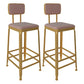 Glam Low Back Living Room Stool Matte Finish Velvet Counter Stool Pink 2 Piece Set Square Clearhalo 'Bar Furniture' 'Bar Stools' 'bar_stools' 'furn' 'furn_bar_stools' 'Furniture' 'furniture_bar_stools' 'Kitchen & Dining Furniture' 4875465