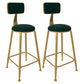 Glam Low Back Living Room Stool Matte Finish Velvet Counter Stool Green 2 Piece Set Round Clearhalo 'Bar Furniture' 'Bar Stools' 'bar_stools' 'furn' 'furn_bar_stools' 'Furniture' 'furniture_bar_stools' 'Kitchen & Dining Furniture' 4875472