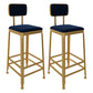 Glam Low Back Living Room Stool Matte Finish Velvet Counter Stool Blue 2 Piece Set Square Clearhalo 'Bar Furniture' 'Bar Stools' 'bar_stools' 'furn' 'furn_bar_stools' 'Furniture' 'furniture_bar_stools' 'Kitchen & Dining Furniture' 4875484