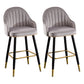 Scandinavian Restaurant Armed Stool Matte Finish Velvet Barstool Light Gray Set of 2 Clearhalo 'Bar Furniture' 'Bar Stools' 'bar_stools' 'Furniture' 'furniture_bar_stools' 'Kitchen & Dining Furniture' 4876069