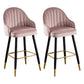 Scandinavian Restaurant Armed Stool Matte Finish Velvet Barstool Cameo Brown Set of 2 Clearhalo 'Bar Furniture' 'Bar Stools' 'bar_stools' 'Furniture' 'furniture_bar_stools' 'Kitchen & Dining Furniture' 4876076