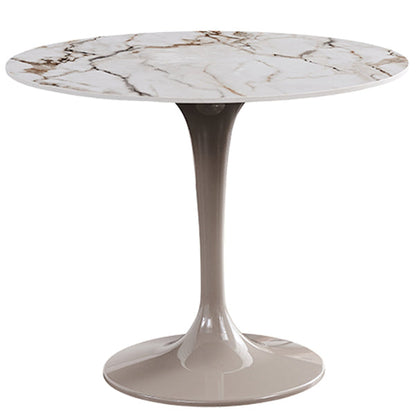 Modern 1/2/3 Pieces Dining Set Round Sintered Stone Dining Table Set Clearhalo 'Dining Room Sets' 'Dining Tables & Seating' 'dining_room_set' 'furn' 'furn_dining_room_set' 'Furniture' 'furniture_dining_room_set' 'Kitchen & Dining Furniture' 4876398