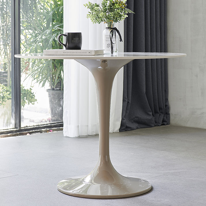 Modern 1/2/3/4/5 Pieces Dining Set Round Sintered Stone Dining Table Set Clearhalo 'Dining Room Sets' 'Dining Tables & Seating' 'dining_room_set' 'furn' 'furn_dining_room_set' 'Furniture' 'furniture_dining_room_set' 'Kitchen & Dining Furniture' 4876494